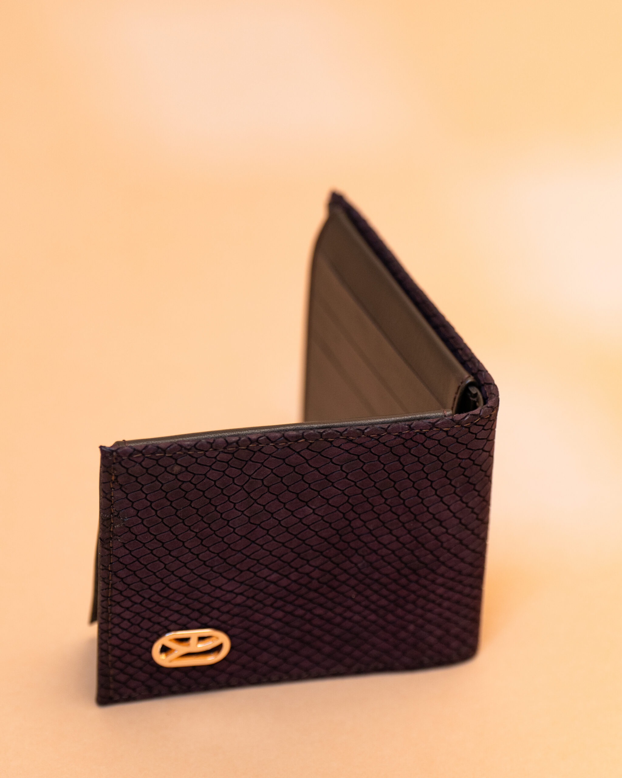 Portefeuille DAAR- Soft Command